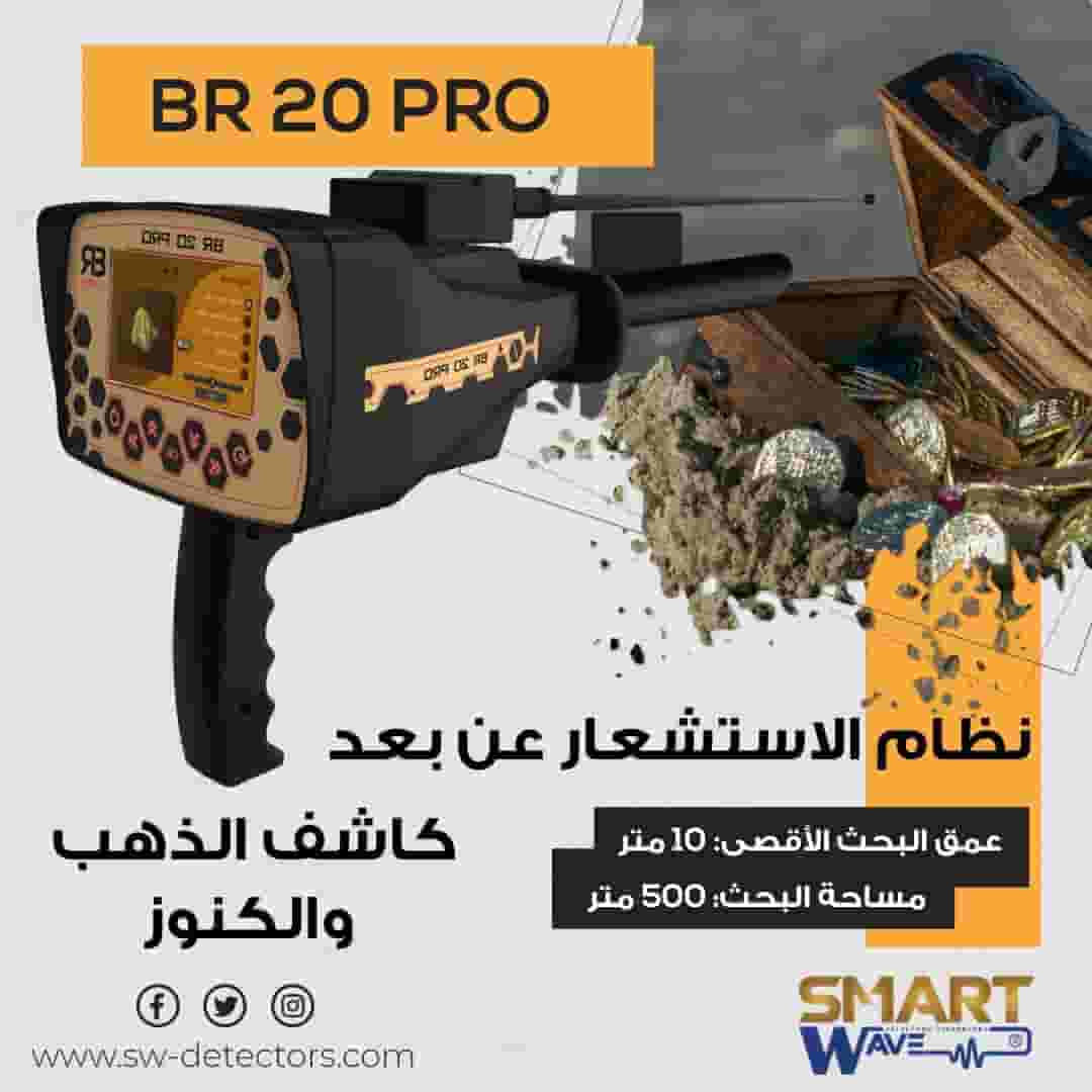 Gold and metal detector  