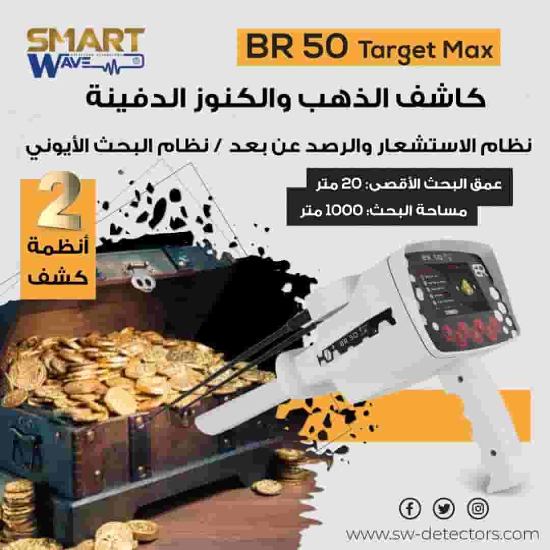 BR50 TARGET MAX Gold and Precious Treasure Detector