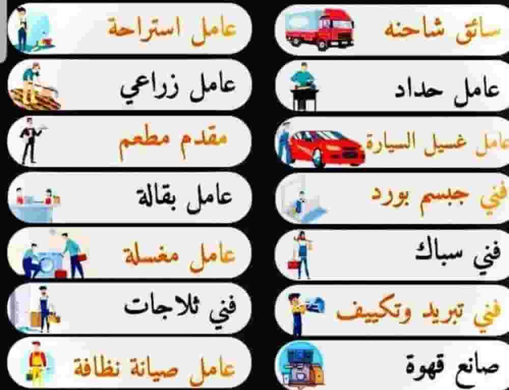 We provide you with all professions