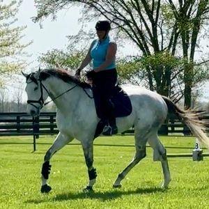 Stunning 8yo mare Thoroughbred Horse for Sale 