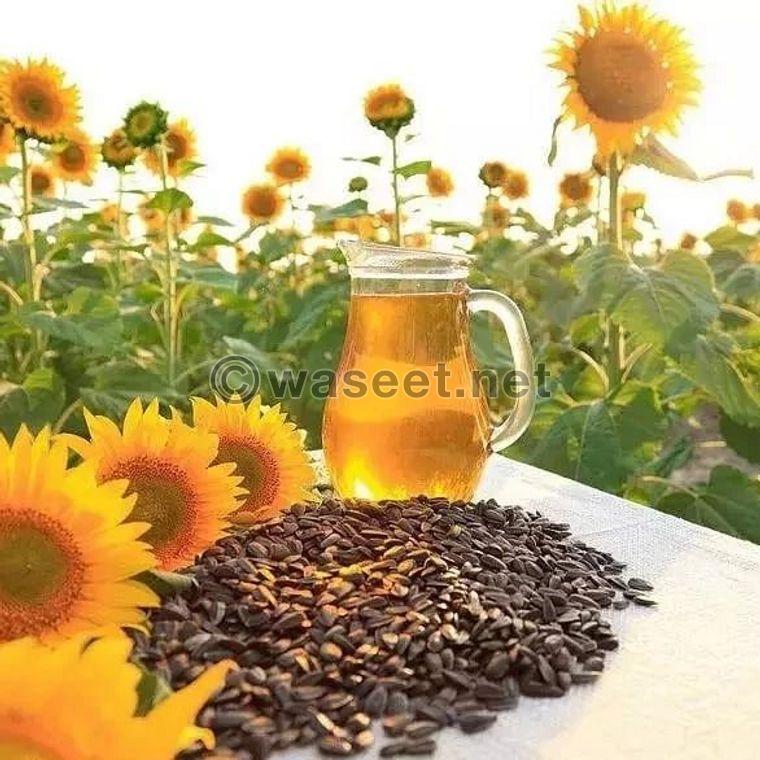 Sunflower Cooking oil for sale in bulk 1
